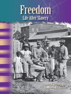 cover image of Freedom: Life After Slavery